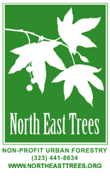 Trees are the Answer