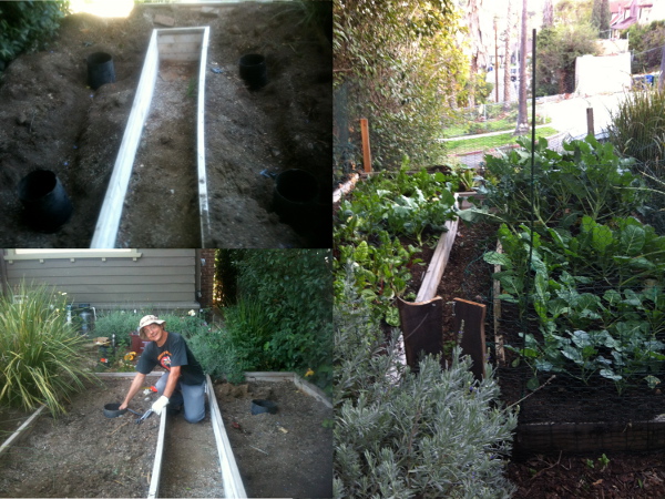 Addario Laundry to Landscape System